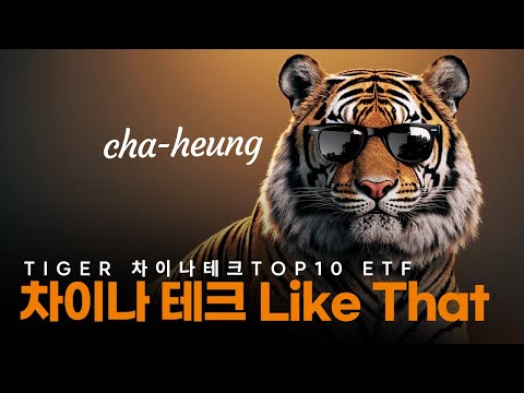 [Tiger Song] 차이나테크 Like That